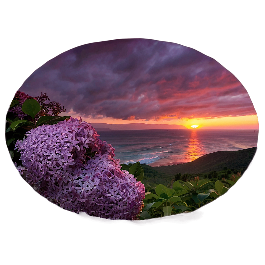 Lilac Sunset PNG 06122024 PNG with transparent background