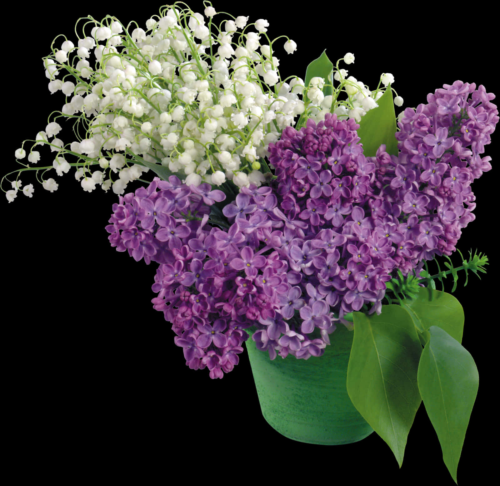 Transparent Rosas Blancas Png - Flores Blancas Y Lila, Png Download PNG with transparent background