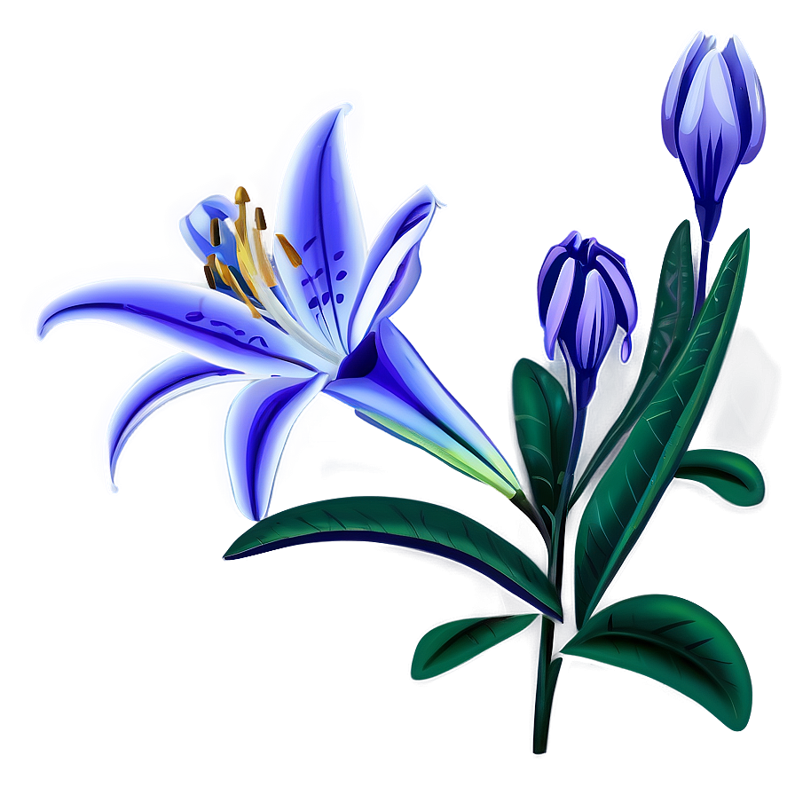 Lily Flower Drawing Png 68