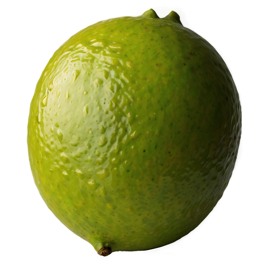 Lime Fruit Transparent PNG 05242024 PNG with transparent background