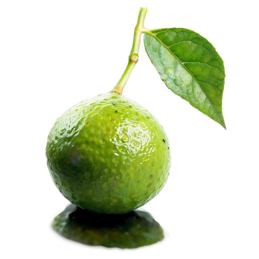 Lime Oil Png Cgl77