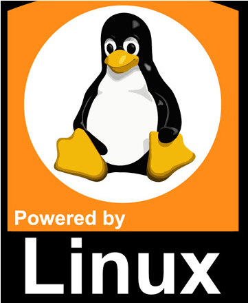 Linux Penguin, HD Png Download PNG with transparent background
