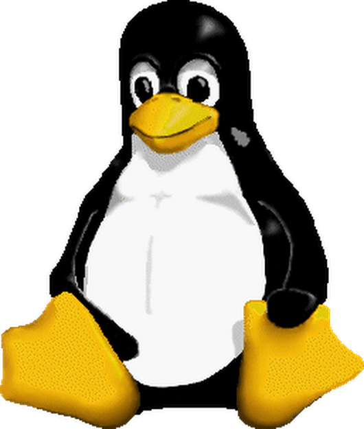 Linux Penguin - Linux Penguin Gif, HD Png Download PNG with transparent background