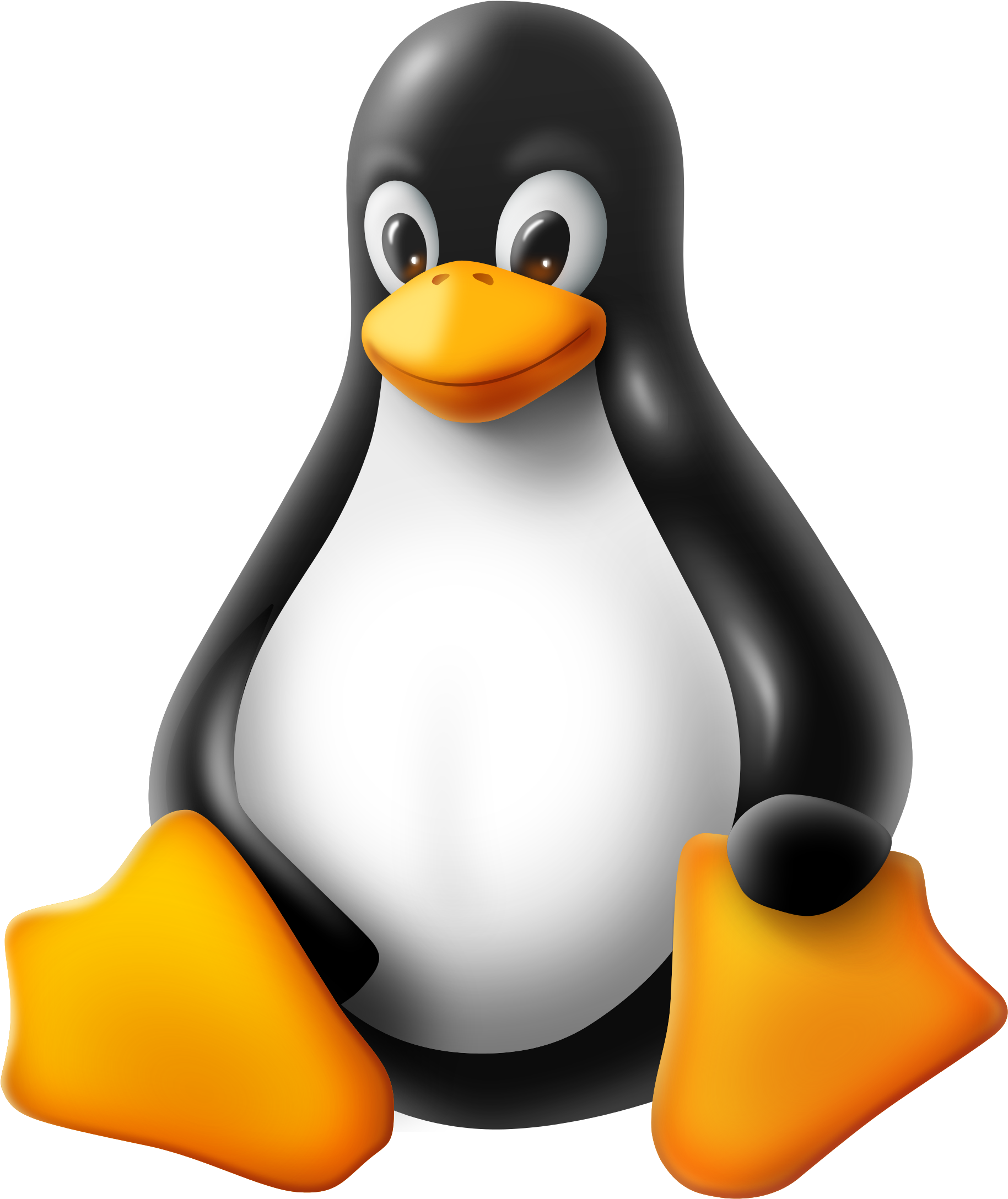 Linux Penguin Png - Linux Tux Png, Transparent Png PNG with transparent background