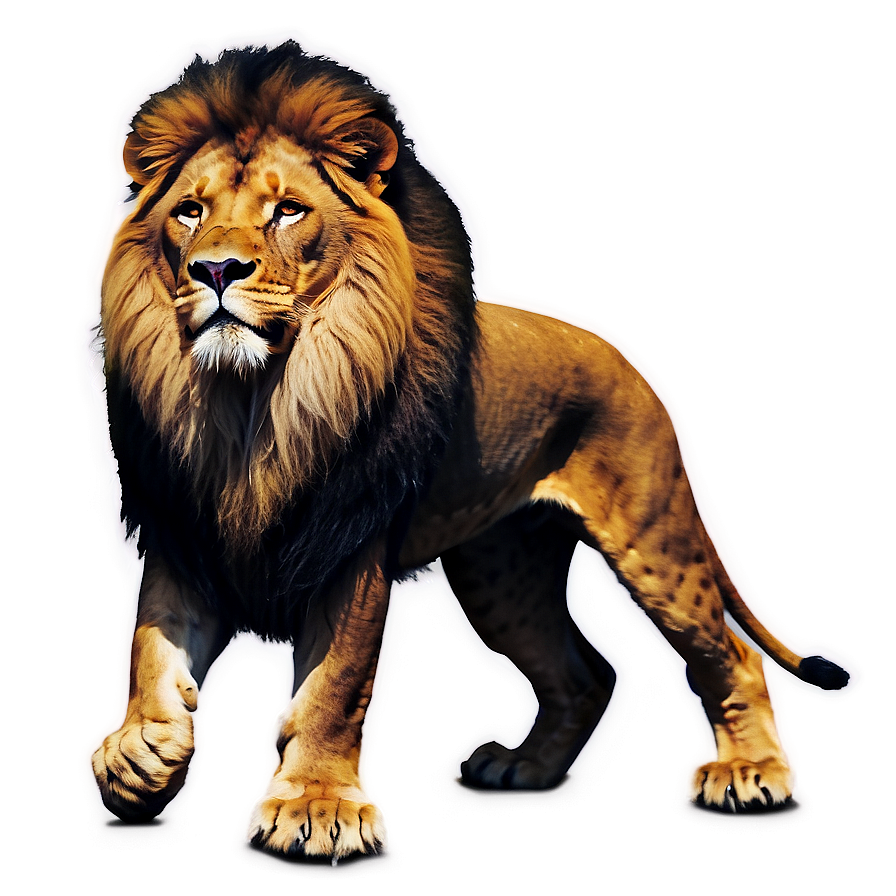 Lion Of Judah Png 06262024