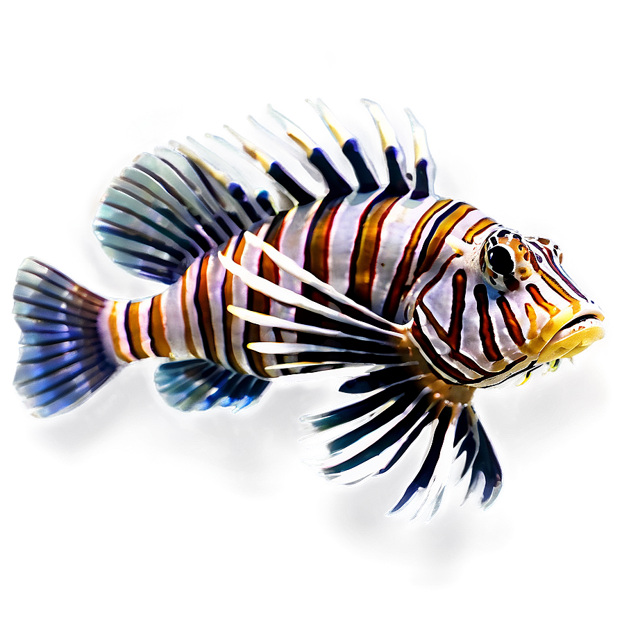 Lionfish B