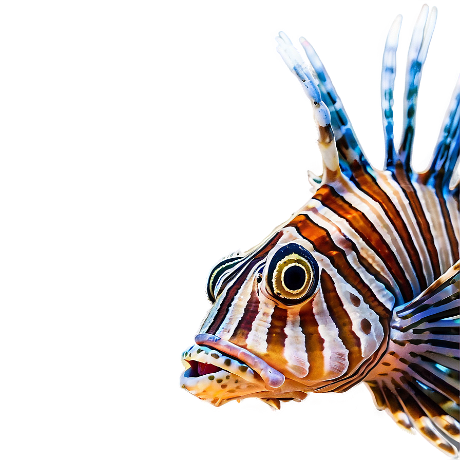 Lionfish Threat Png 85