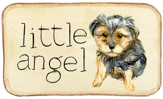 Little Angel Yorkie Puppy Illustration PNG with transparent background