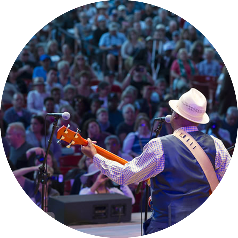 Live Concert Performance Cheering Crowd PNG with transparent background