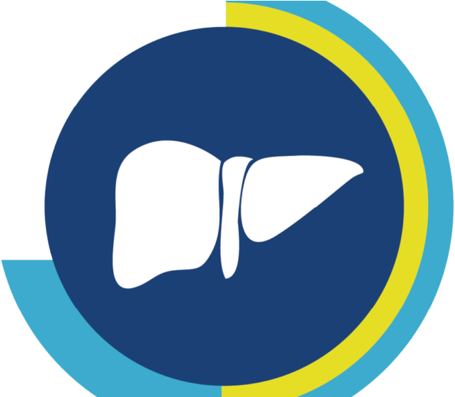 Liver Icon Graphic