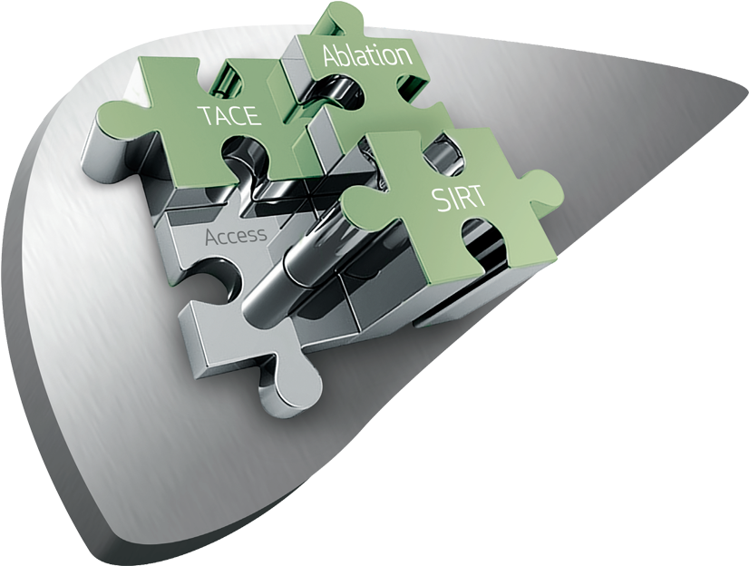 Liver Treatment Puzzle Pieces PNG with transparent background