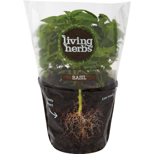Living Herbs Basil Plant Packaging PNG image with a transparent background, free high-resolution download