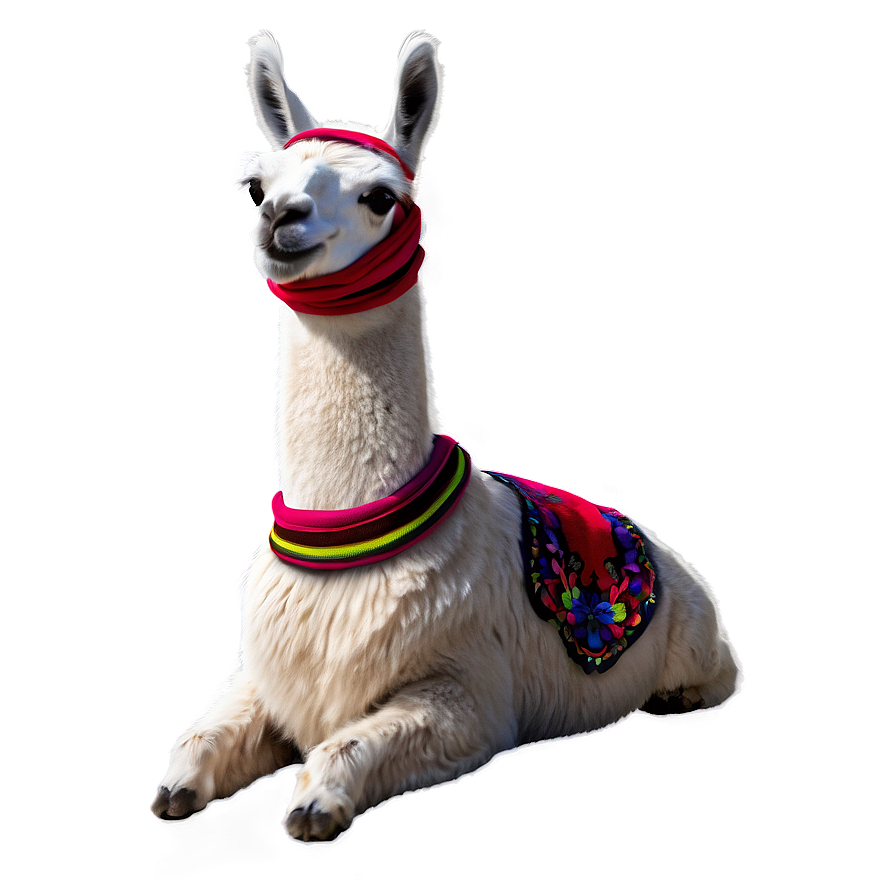 Llama With Scarf Png 11