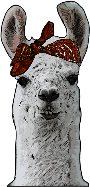 Llamawith Red Bandana