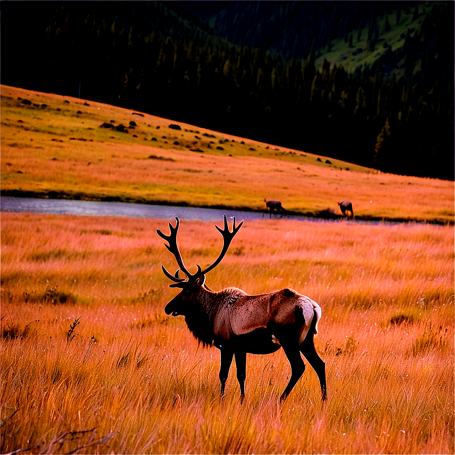 Lone Caribou On Hillside Png 06292024