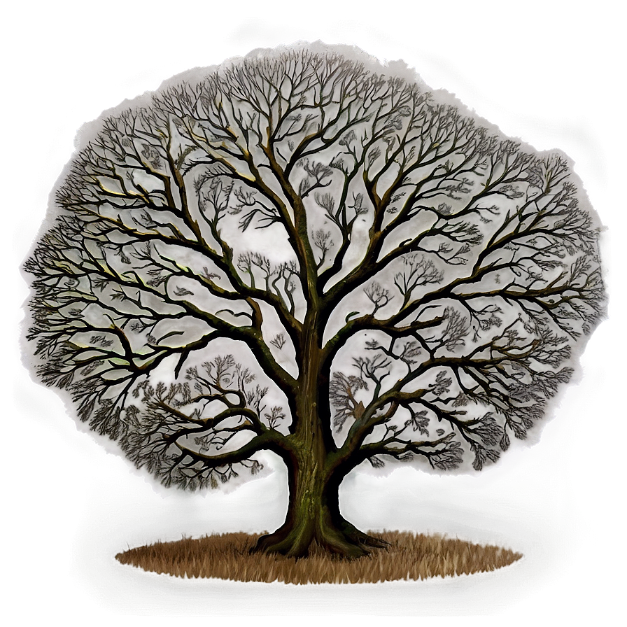 Lone Oak Landscape PNG 06262024 PNG with transparent background
