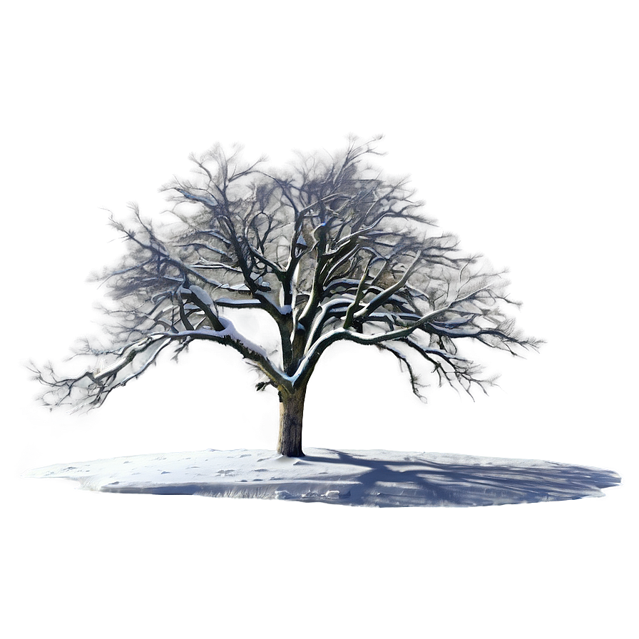 Lonely Bare Tree Png Fvd