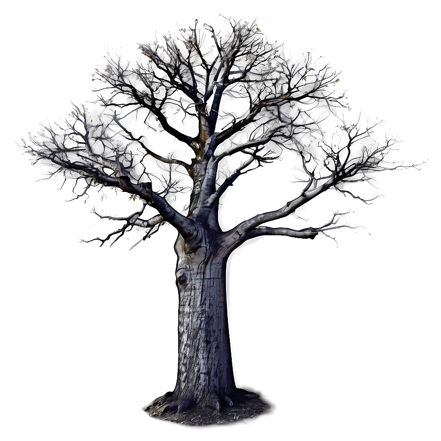 Lonely Bare Tree Png Ybh91