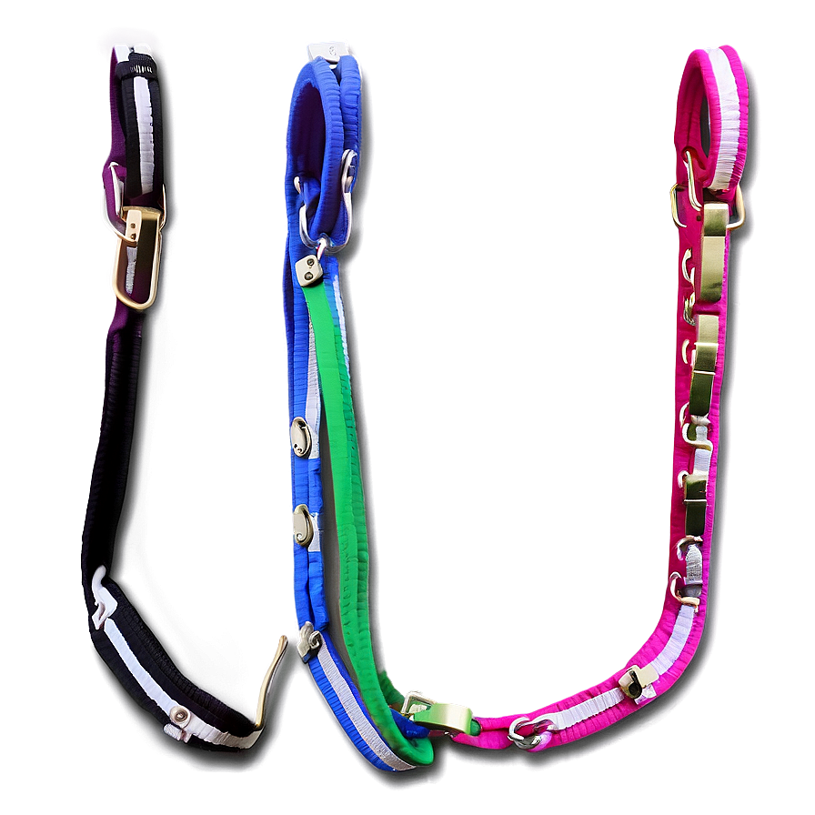 Long Dog Leash Png Rwc59