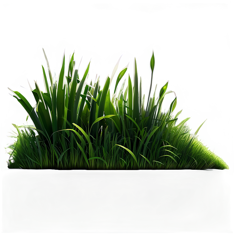 Long Green Grass Png 84