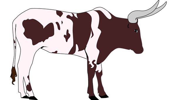 Longhorn Cattle Illustration PNG with transparent background