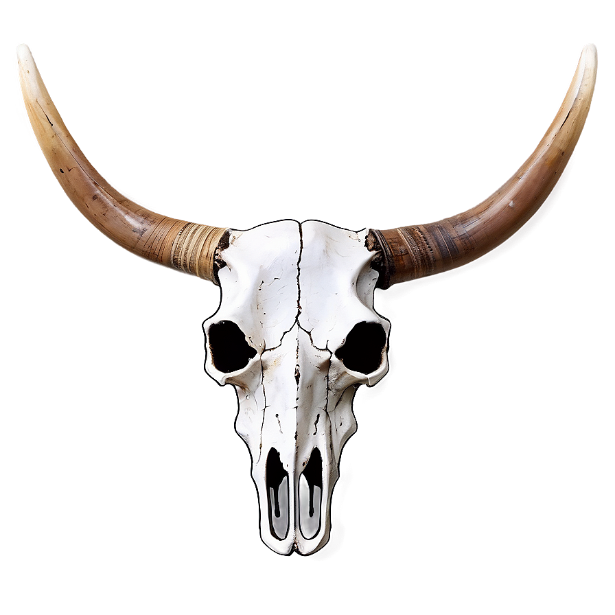 Longhorn Skull And Mountains Png Oen44