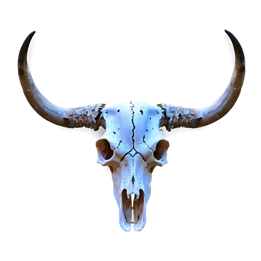 Longhorn Skull In Desert Scene Png Ycj97