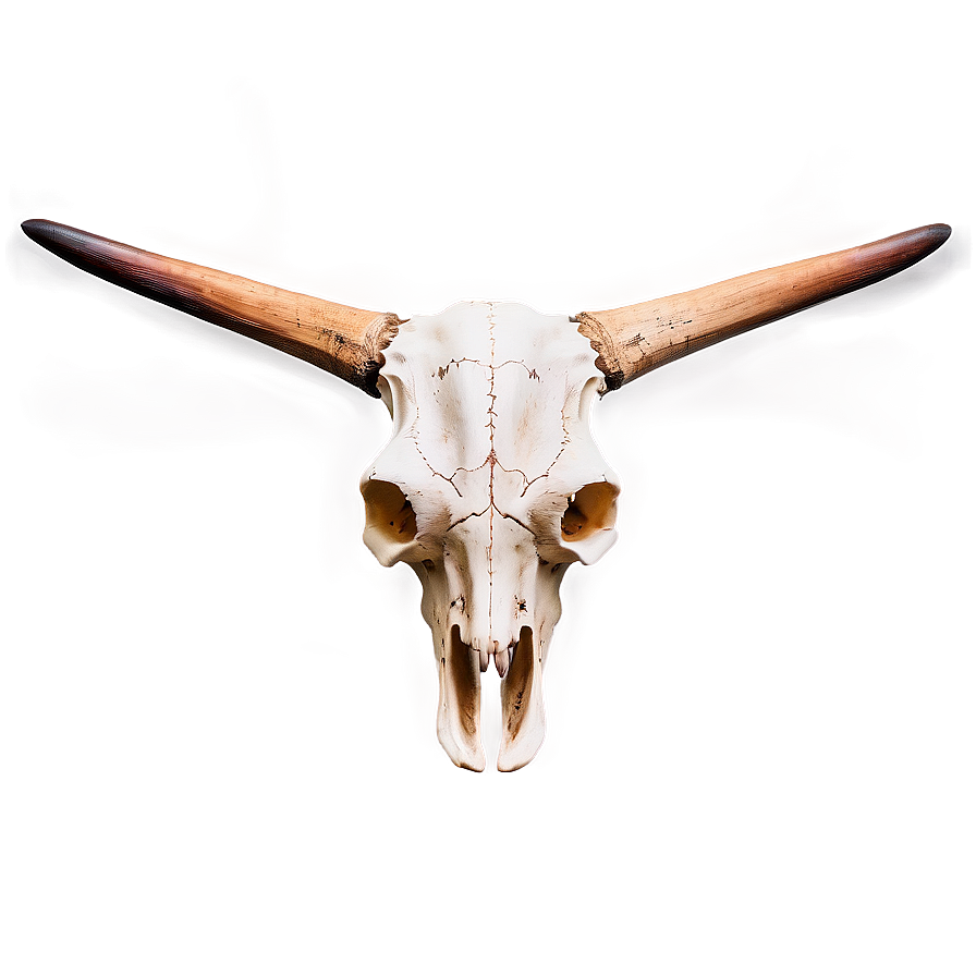 Longhorn Skull On Wood Background Png Dey92