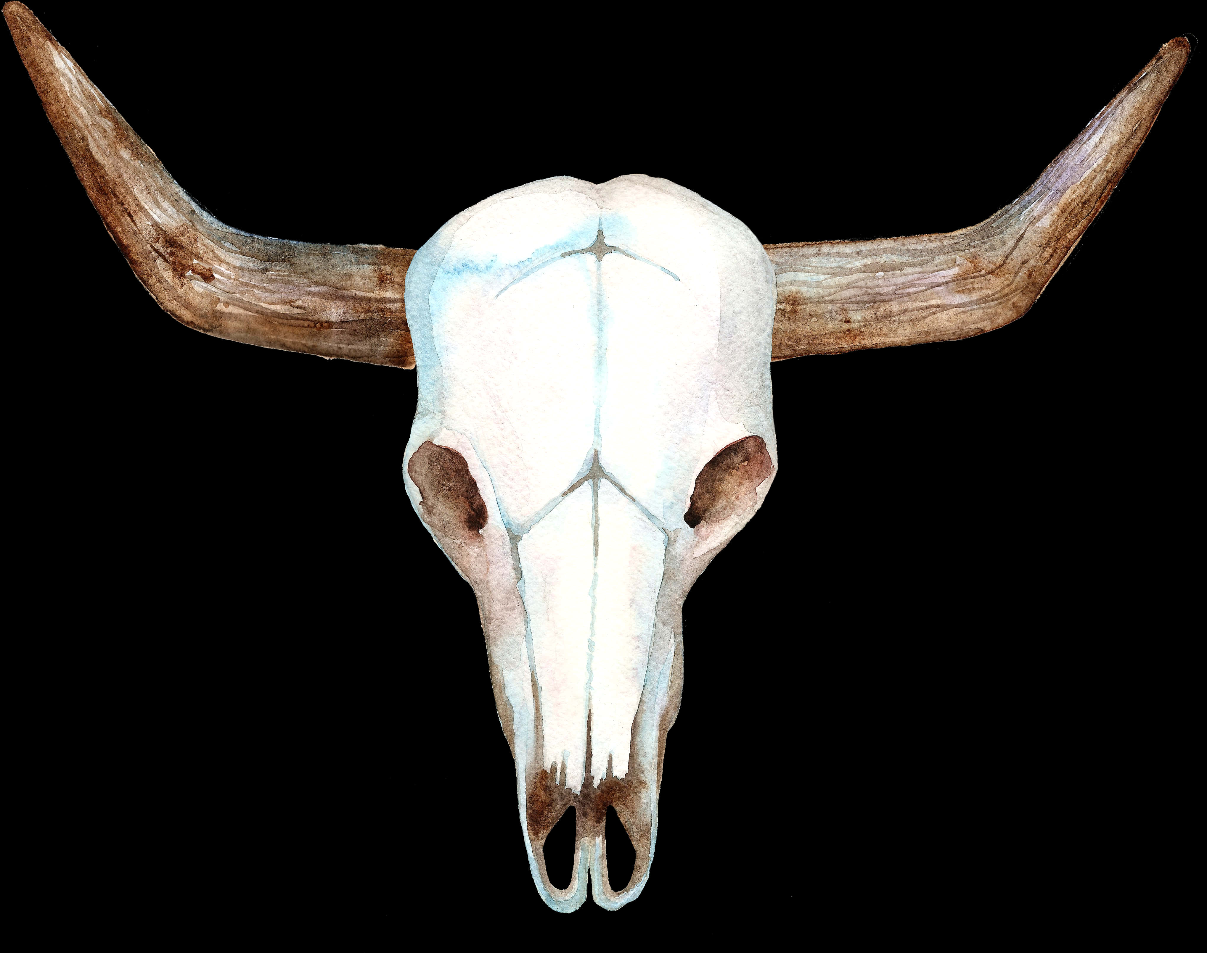 Longhorn Skull Watercolor Artwork