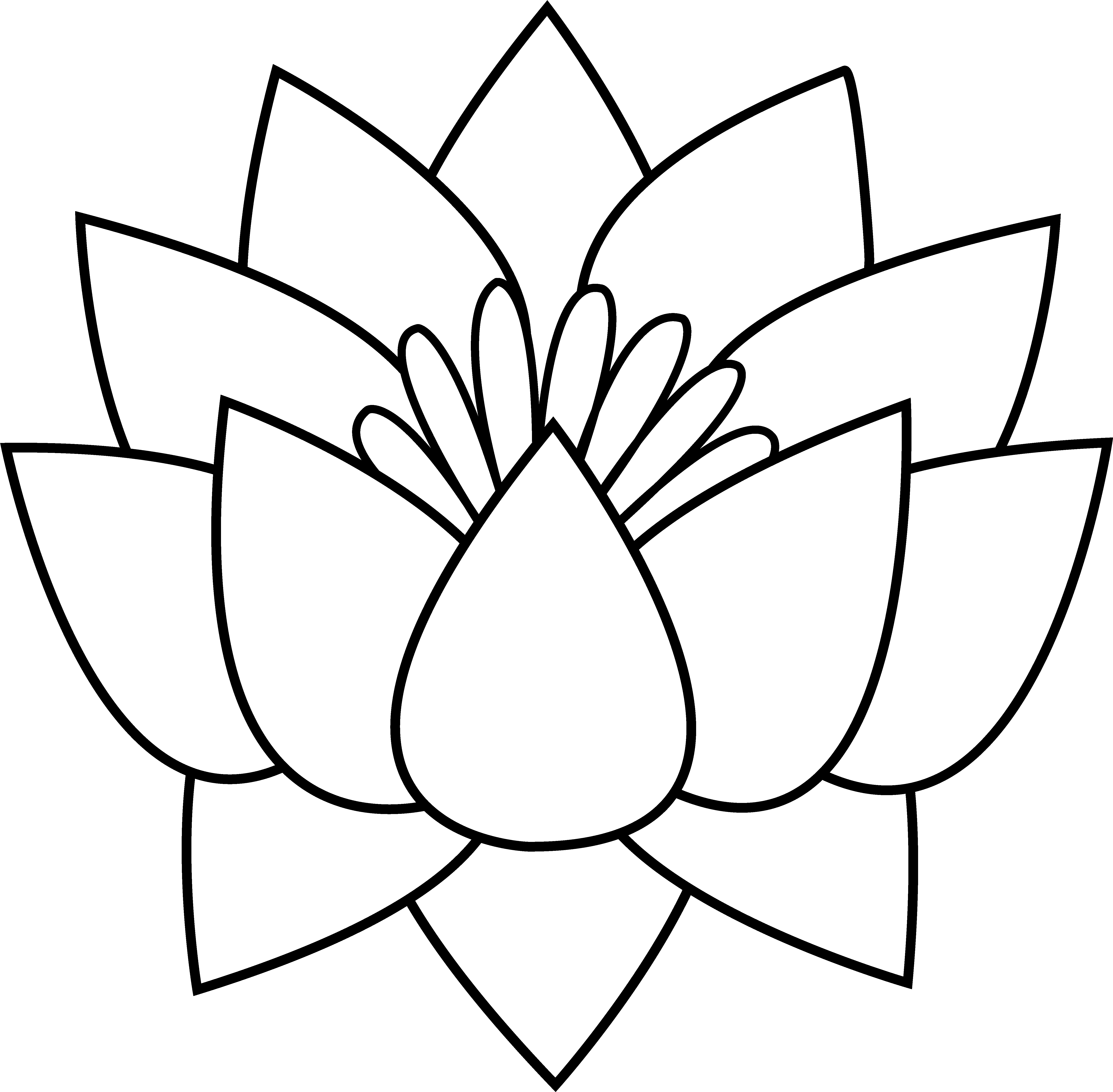 Lotus Flower Png Black And White - Flower Line Drawing, Transparent Png PNG with transparent background