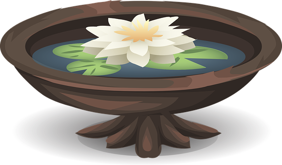 Lotus Flowerin Water Bowl PNG with transparent background