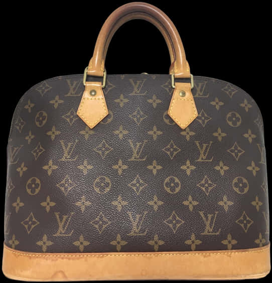 Louis Vuitton Monogram Canvas Bag