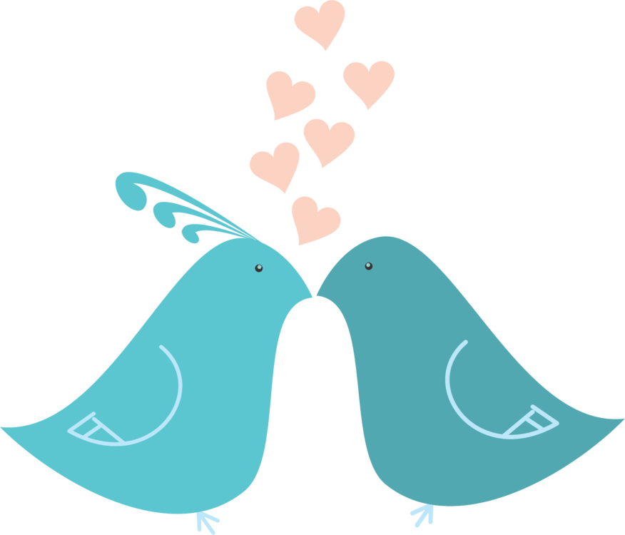 Love Birds Hearts Illustration