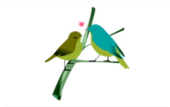 Love Birds Png Transparent Images - Love Birds Png, Png Download PNG with transparent background