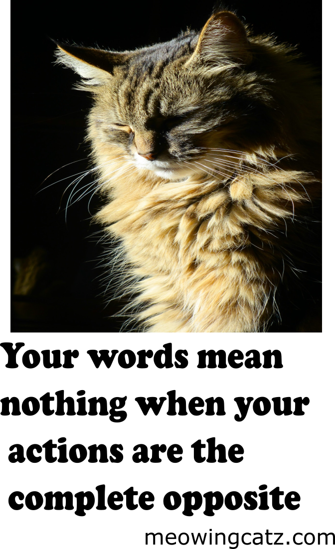 Love, HD Png Download PNG with transparent background