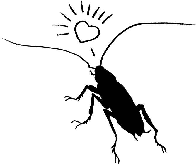 Heartroachbindexgallery, HD Png Download PNG image with a transparent background, free high-resolution download