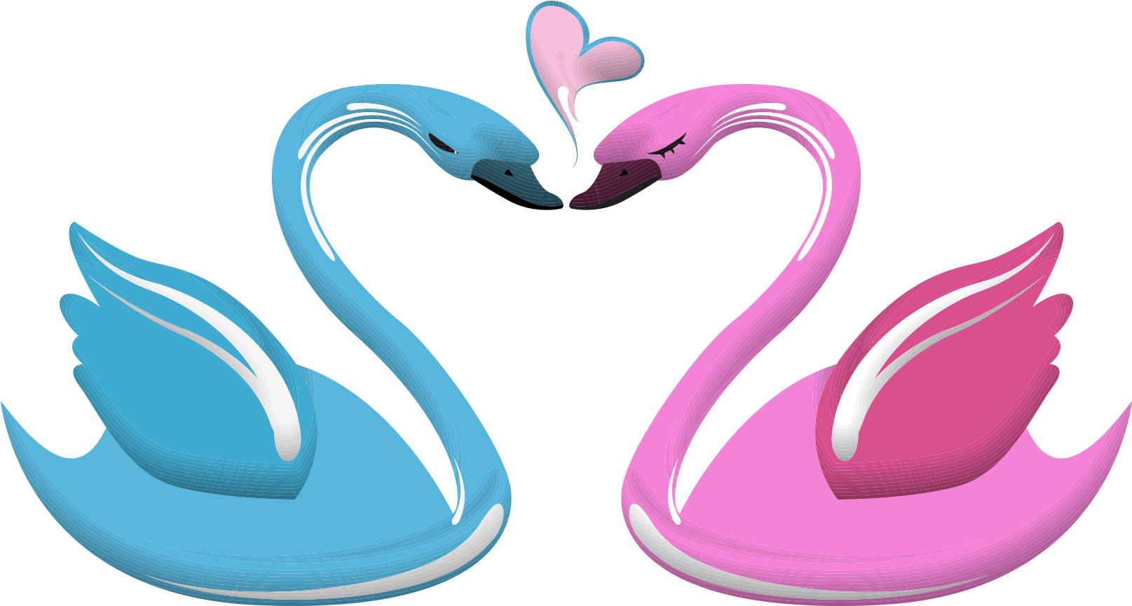 Love Swan Heart Illustration