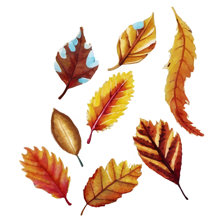 Love You Autumn Leaves Png 57