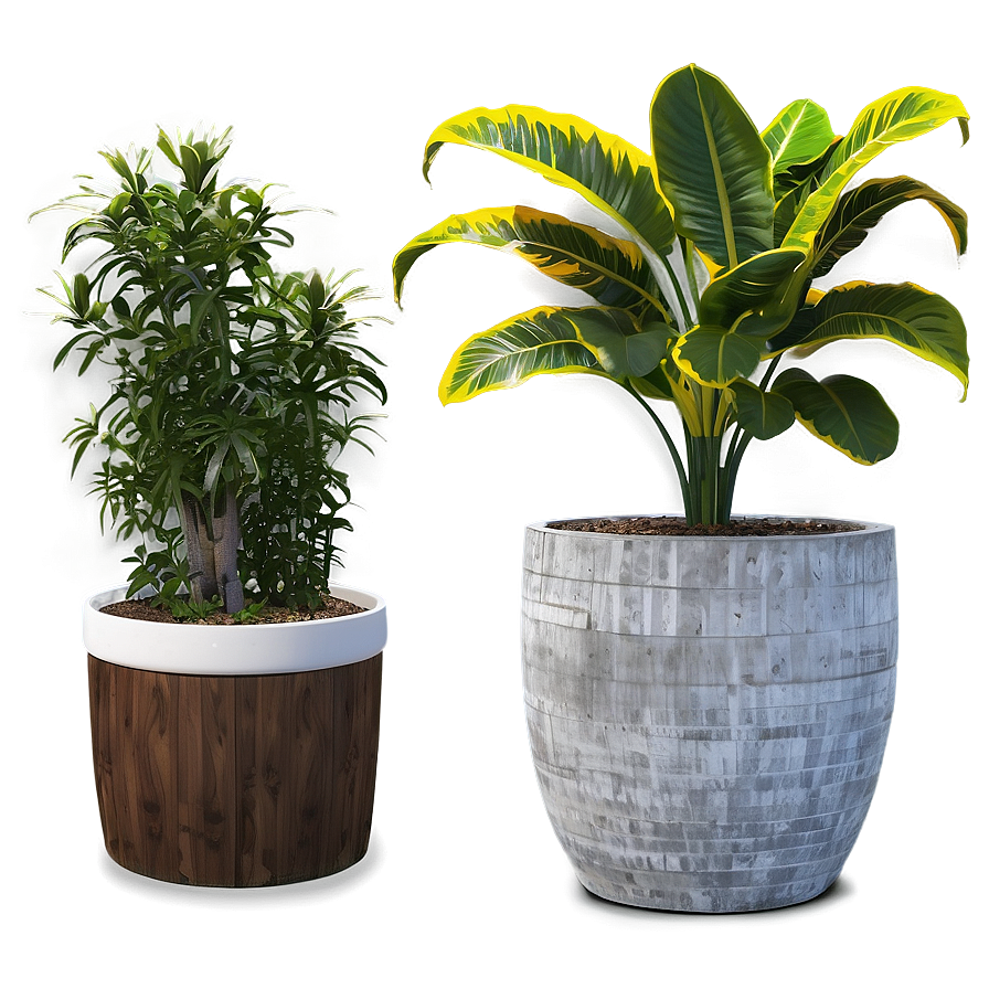 Low Maintenance Potted Plants Png Avx