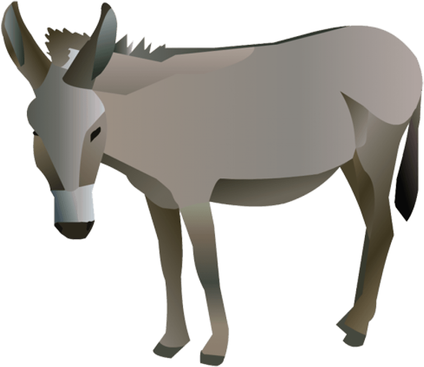 Donkey - Transparent Background Donkey Clip Art, HD Png Download PNG with transparent background