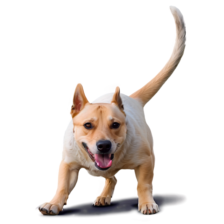 Loyal Dog Wagging Tail Png 44