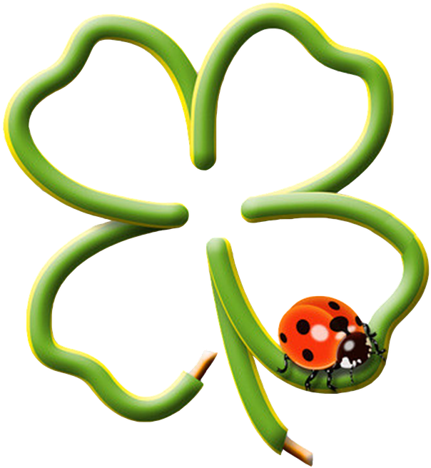 Lucky Cloverand Ladybug