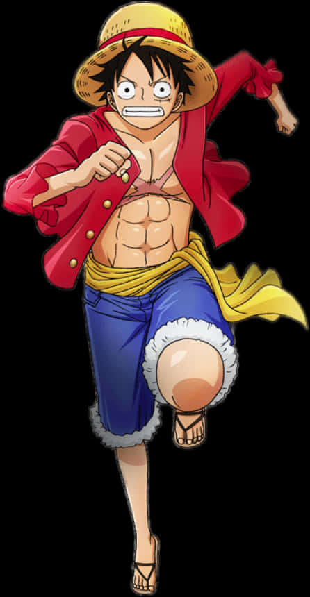 Luffy_ Straw_ Hat_ Pirate_ Adventure