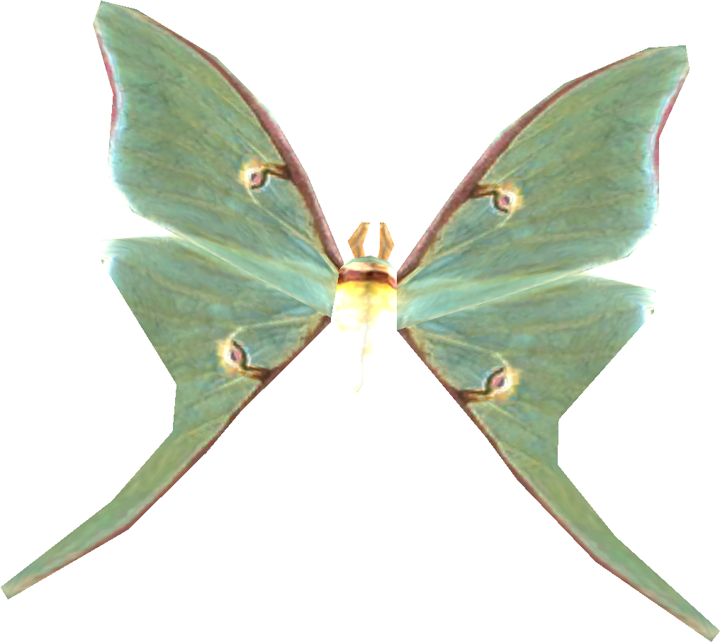 Luna_ Moth_ Transparent_ Background