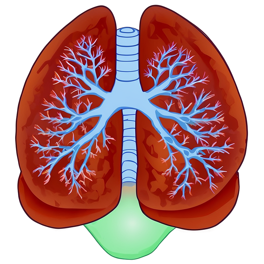 Lungs Fitness And Health Png 13