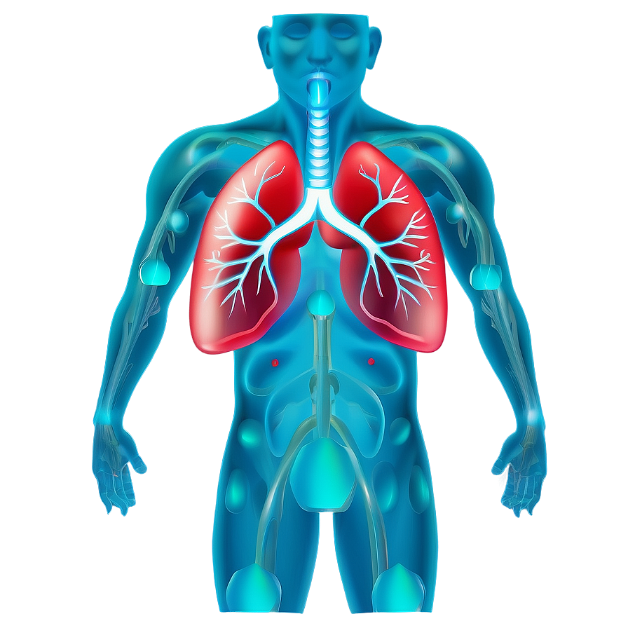 Lungs Healing Process Png Qac95