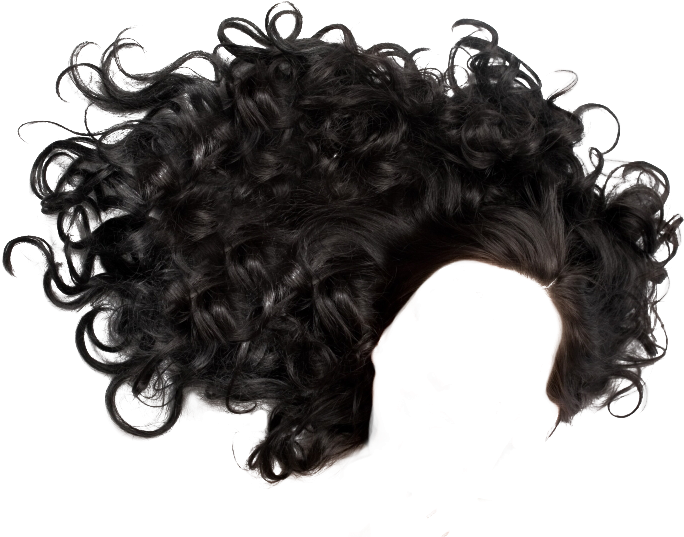 11 2 Hair Png - Black Curly Hair Png, Transparent Png PNG with transparent background