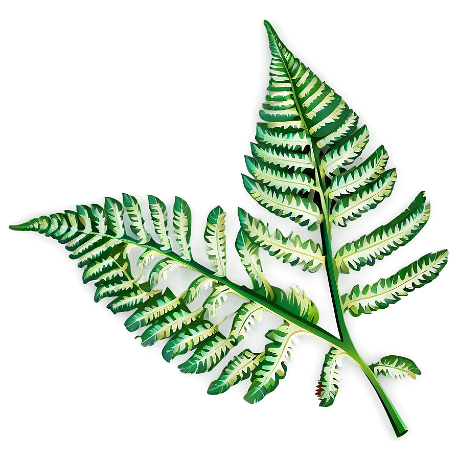 Lush Fern Leaf Clipart Png Xrp57