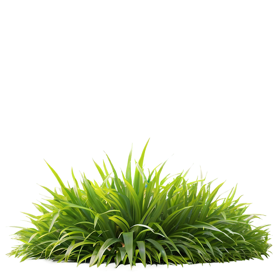 Lush Garden Grass Png Iew