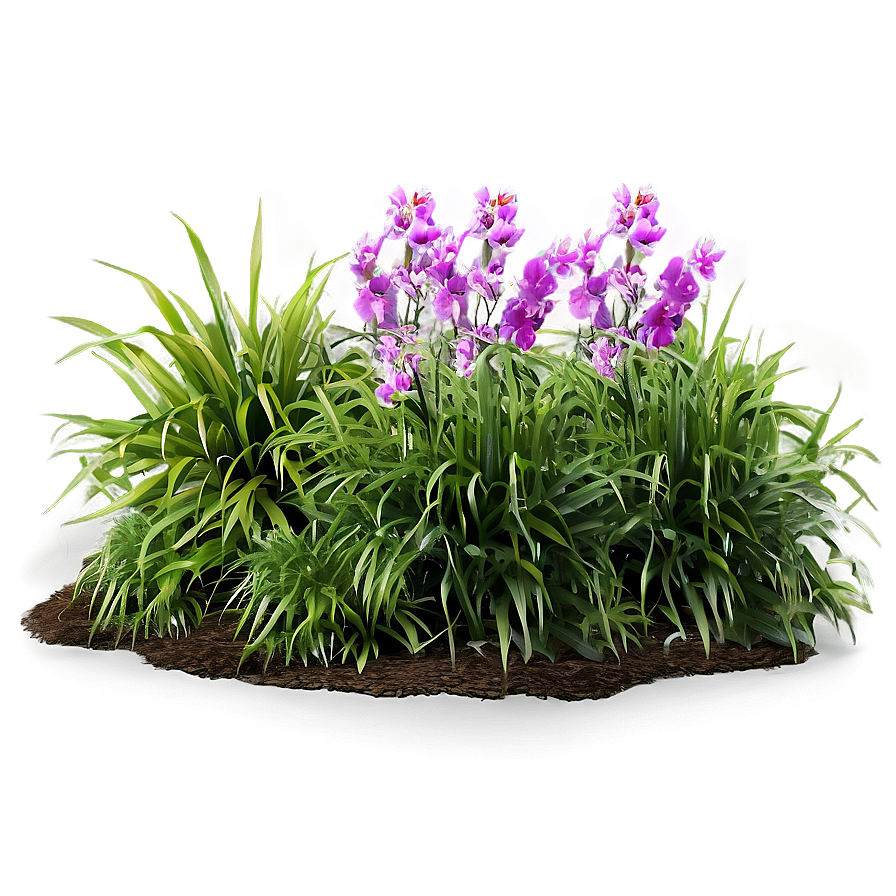 Lush Garden Grass Png Lvy